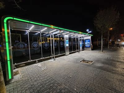 ماغنوليا (6-8-10)